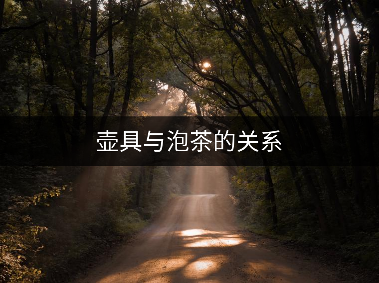 壺具與泡茶的關系