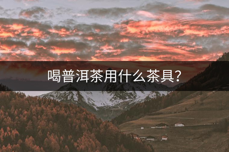 喝普洱茶用什么茶具？