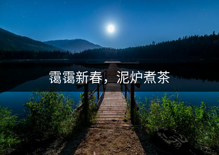 靄靄新春，泥爐煮茶
