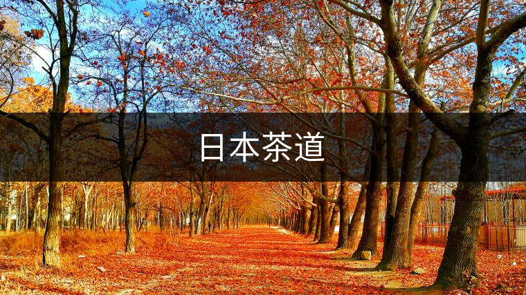 日本茶道 日本茶道