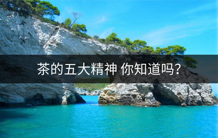 茶的五大精神 你知道嗎？