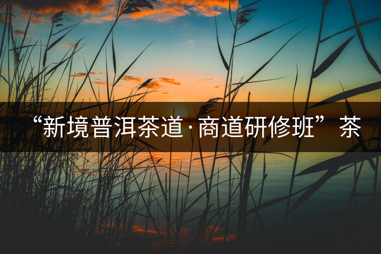 “新境普洱茶道·商道研修班”茶山考察--山中一棵樹 手里一杯茶 “新境普洱茶道·商道研修班”茶山考察--山中一棵樹 手里一杯茶