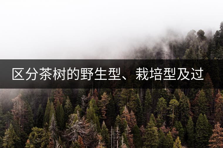 區(qū)分茶樹(shù)的野生型、栽培型及過(guò)渡型