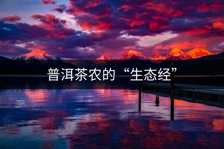 普洱茶農(nóng)的“生態(tài)經(jīng)”