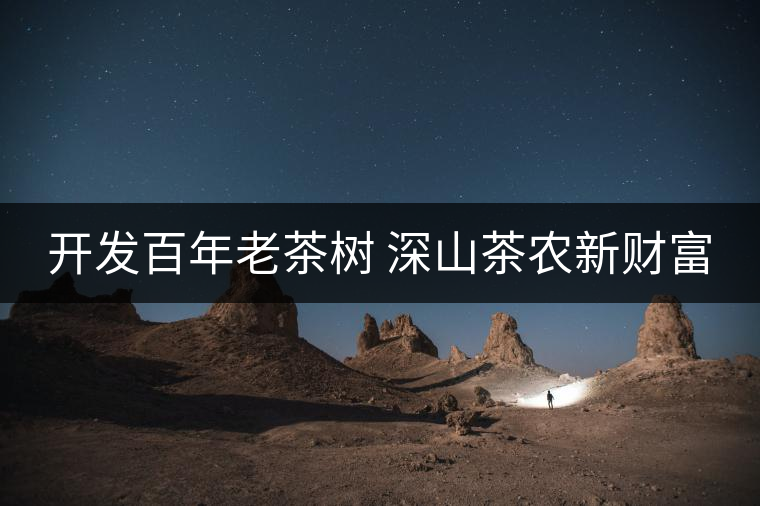 開(kāi)發(fā)百年老茶樹(shù) 深山茶農(nóng)新財(cái)富