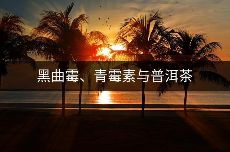 黑曲霉、青霉素與普洱茶