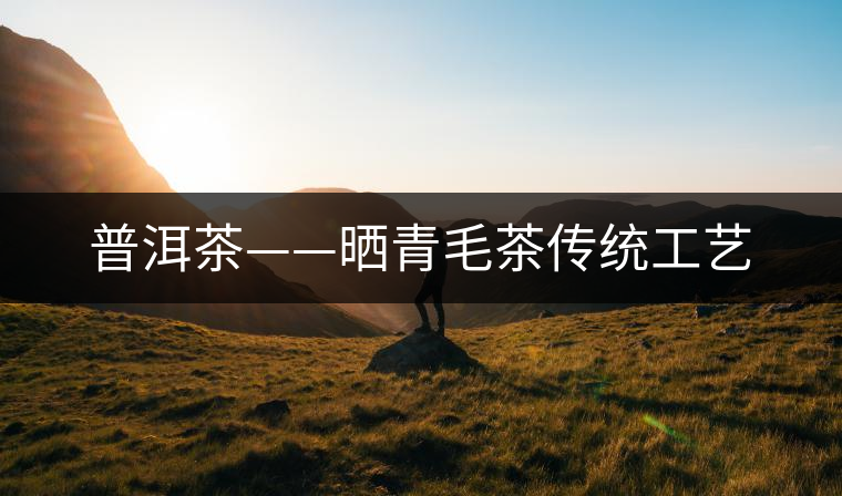 普洱茶——曬青毛茶傳統(tǒng)工藝 普洱茶——曬青毛茶傳統(tǒng)工藝