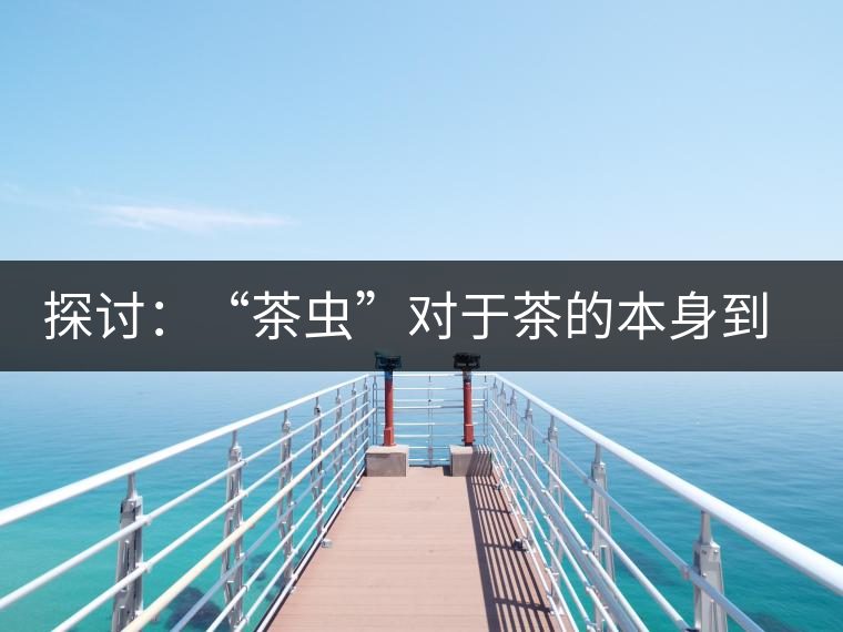 探討：“茶蟲”對于茶的本身到底是好是壞？