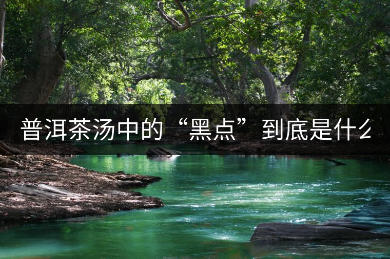 普洱茶湯中的“黑點(diǎn)”到底是什么？