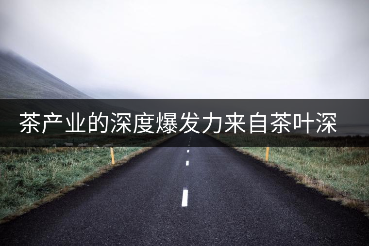 茶產業(yè)的深度爆發(fā)力來自茶葉深加工 茶產業(yè)的深度爆發(fā)力來自茶葉深加工
