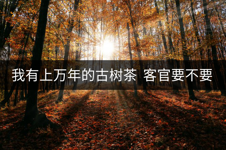 我有上萬年的古樹茶  客官要不要嘗嘗？