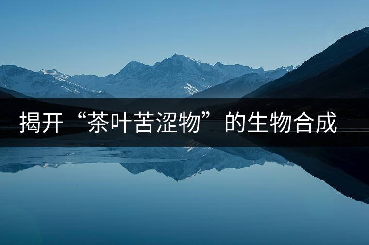 揭開“茶葉苦澀物”的生物合成之謎