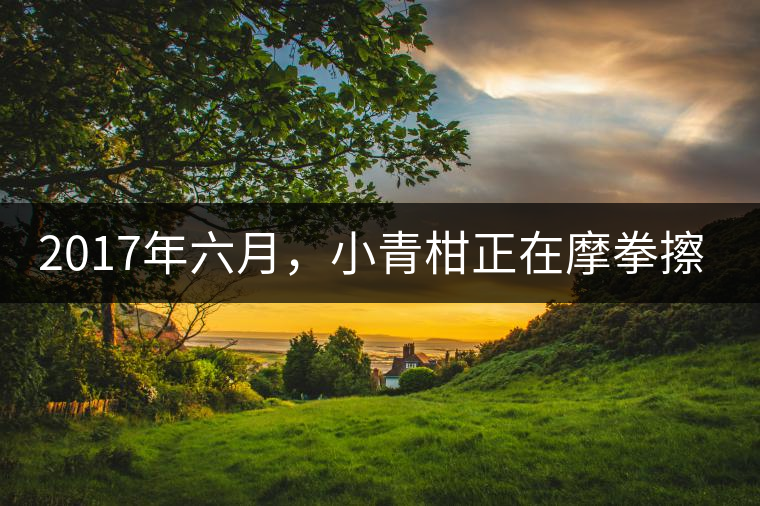 2017年六月，小青柑正在摩拳擦掌