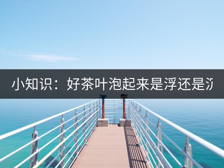 小知識：好茶葉泡起來是浮還是沉？