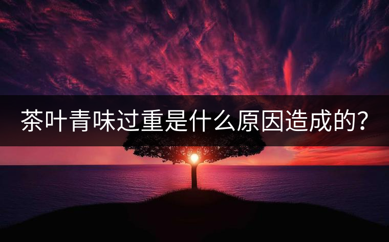 茶葉青味過重是什么原因造成的？