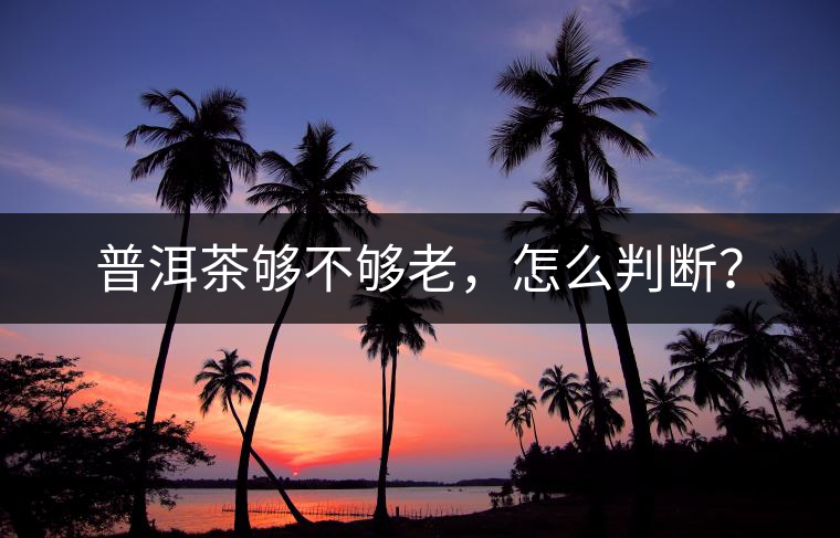 普洱茶夠不夠老，怎么判斷？