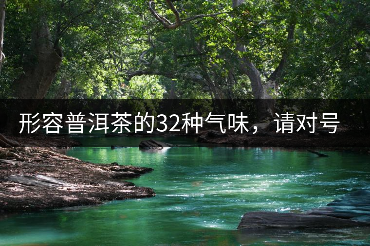 形容普洱茶的32種氣味，請(qǐng)對(duì)號(hào)入座