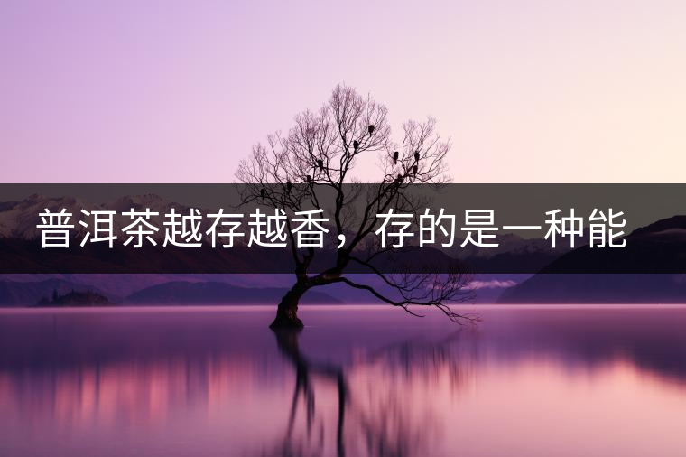 普洱茶越存越香，存的是一種能量