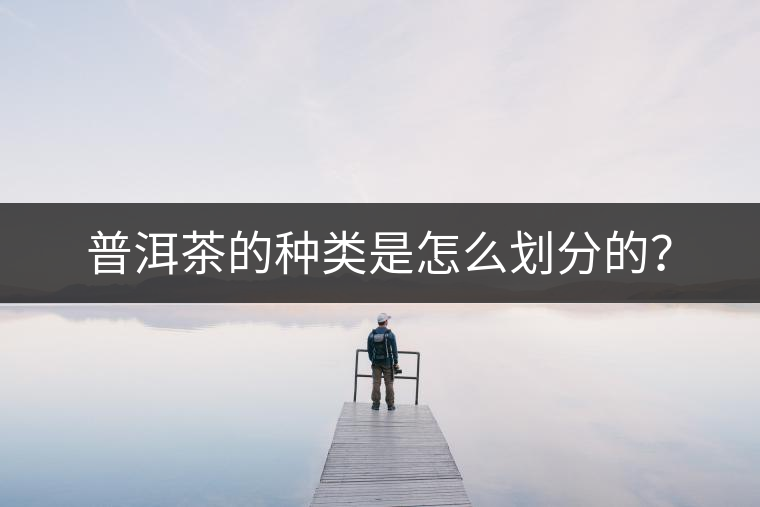 普洱茶的種類是怎么劃分的? 普洱茶的種類是怎么劃分的?