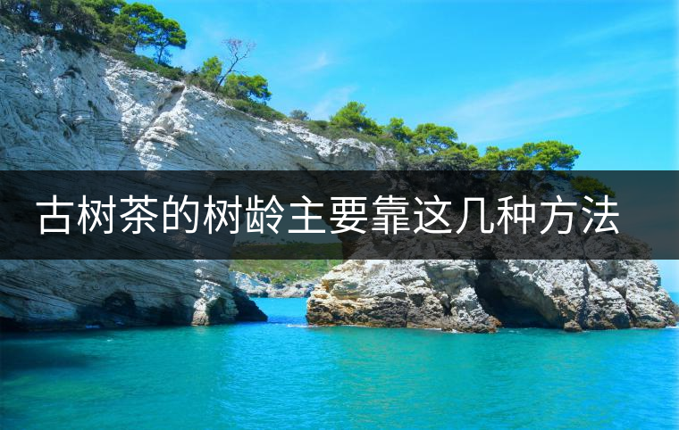 古樹(shù)茶的樹(shù)齡主要靠這幾種方法測(cè)量