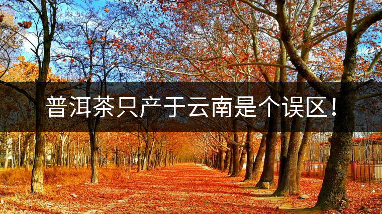 普洱茶只產(chǎn)于云南是個誤區(qū)！