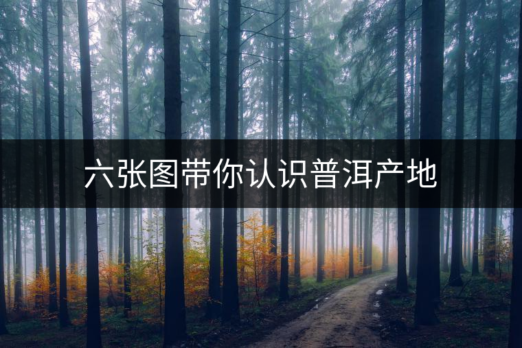 六張圖帶你認識普洱產地