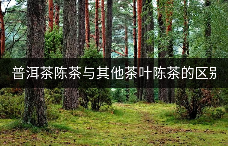 普洱茶陳茶與其他茶葉陳茶的區(qū)別！