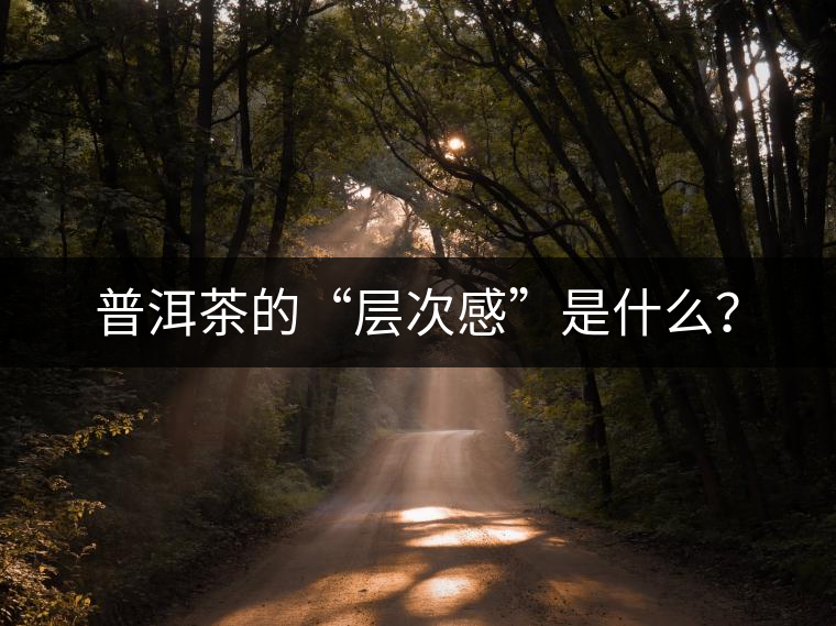 普洱茶的“層次感”是什么？