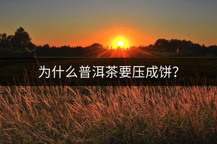 為什么普洱茶要壓成餅？