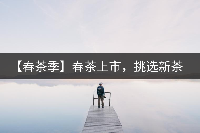 【春茶季】春茶上市，挑選新茶有講究
