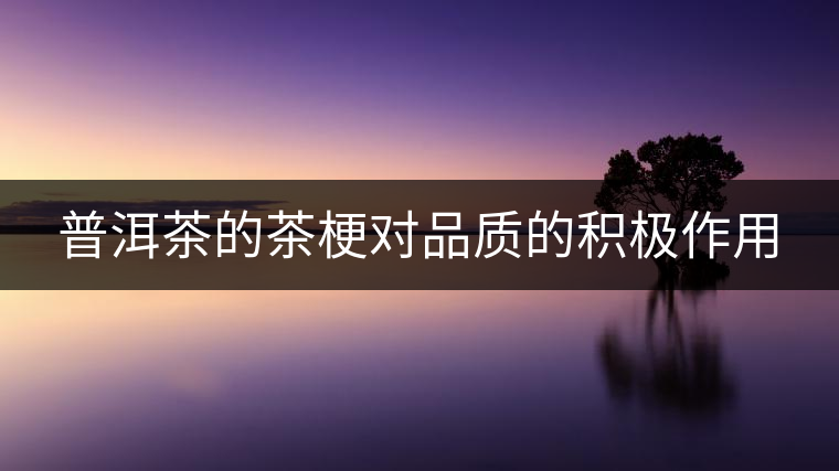 普洱茶的茶梗對品質(zhì)的積極作用 普洱茶的茶梗對品質(zhì)的積極作用