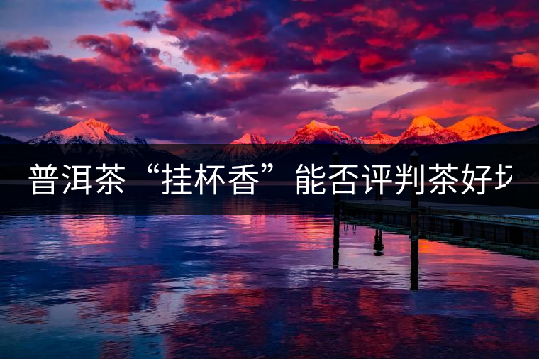 普洱茶“掛杯香”能否評判茶好壞？