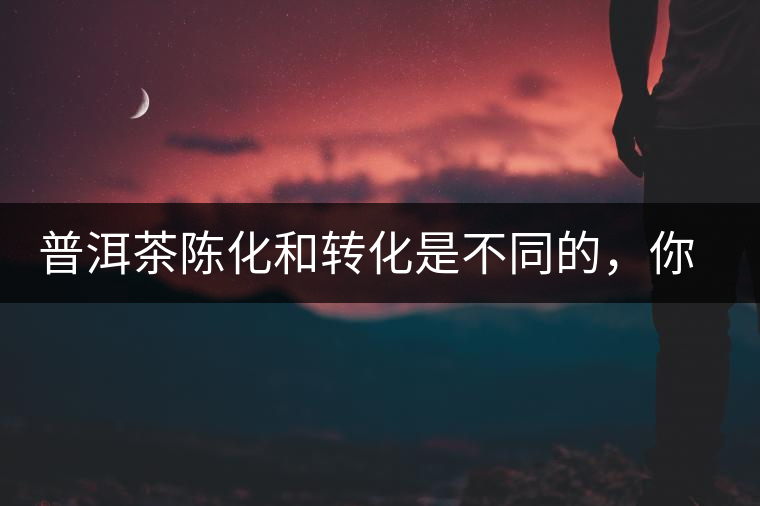 普洱茶陳化和轉(zhuǎn)化是不同的，你造嗎？