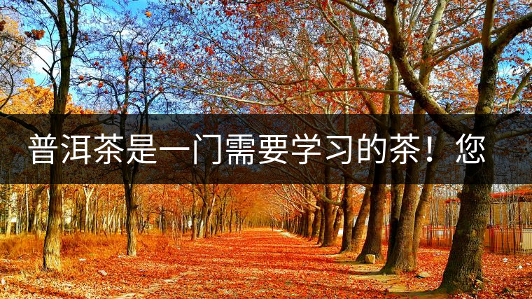 普洱茶是一門需要學(xué)習(xí)的茶！您學(xué)到了多少？看看專家怎么說