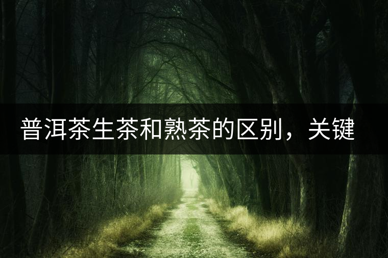 普洱茶生茶和熟茶的區(qū)別，關(guān)鍵在于前半生