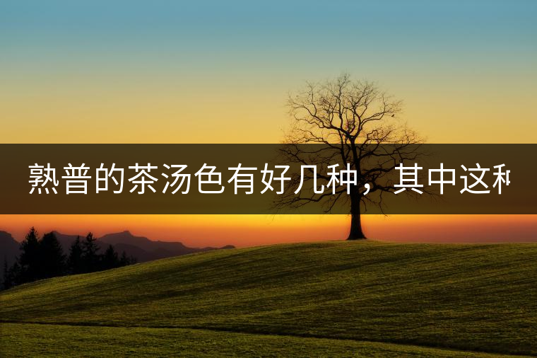 熟普的茶湯色有好幾種，其中這種不建議喝！