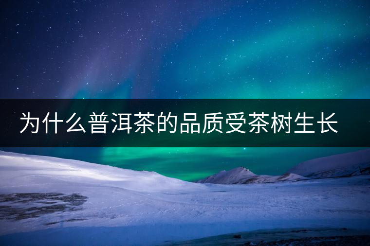 為什么普洱茶的品質受茶樹生長環(huán)境的影響？