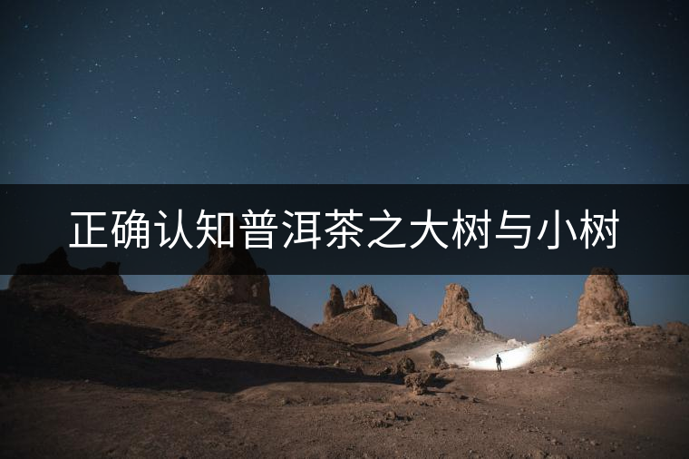 正確認(rèn)知普洱茶之大樹與小樹