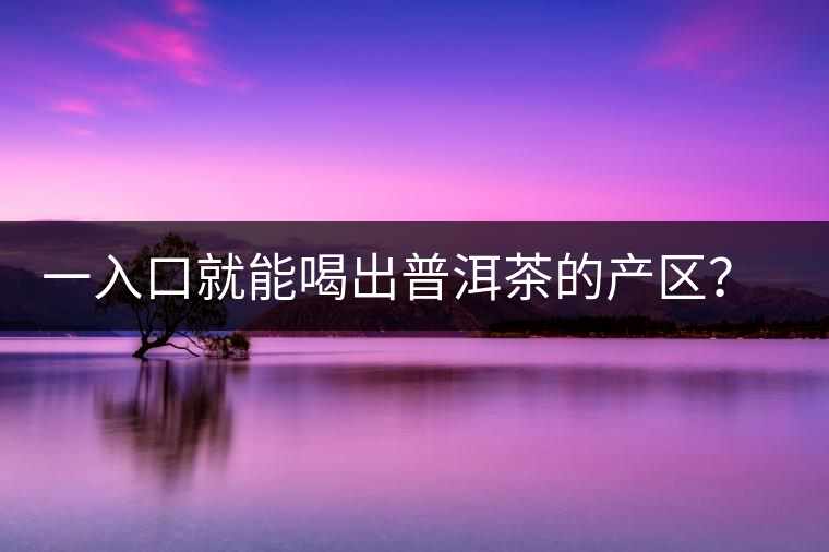 一入口就能喝出普洱茶的產區(qū)？怎么能不讀這篇文章呢？