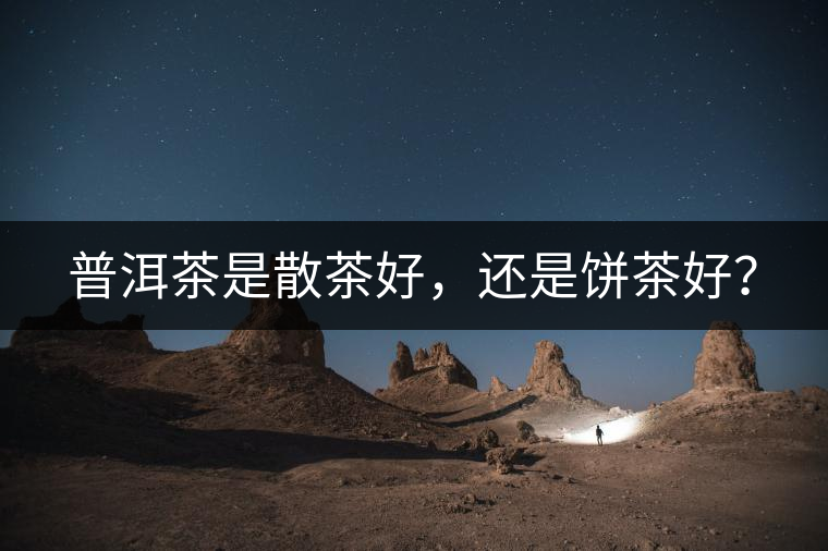 普洱茶是散茶好，還是餅茶好？