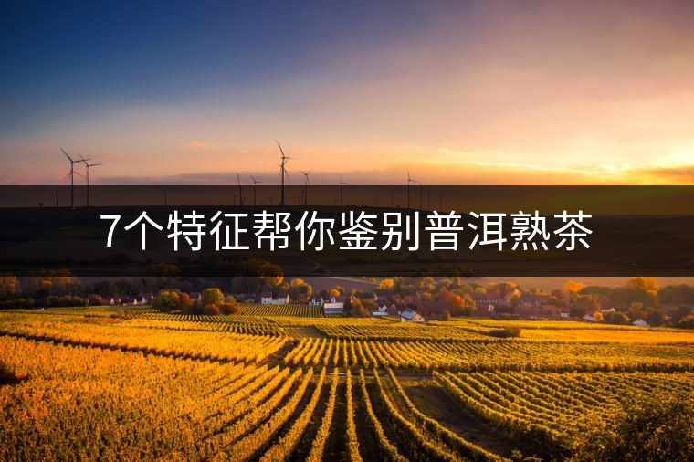 7個(gè)特征幫你鑒別普洱熟茶