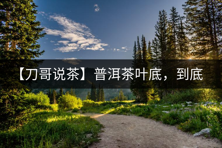 【刀哥說茶】普洱茶葉底，到底藏有多少玄機？