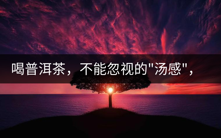 喝普洱茶，不能忽視的