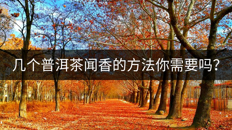 幾個普洱茶聞香的方法你需要嗎？