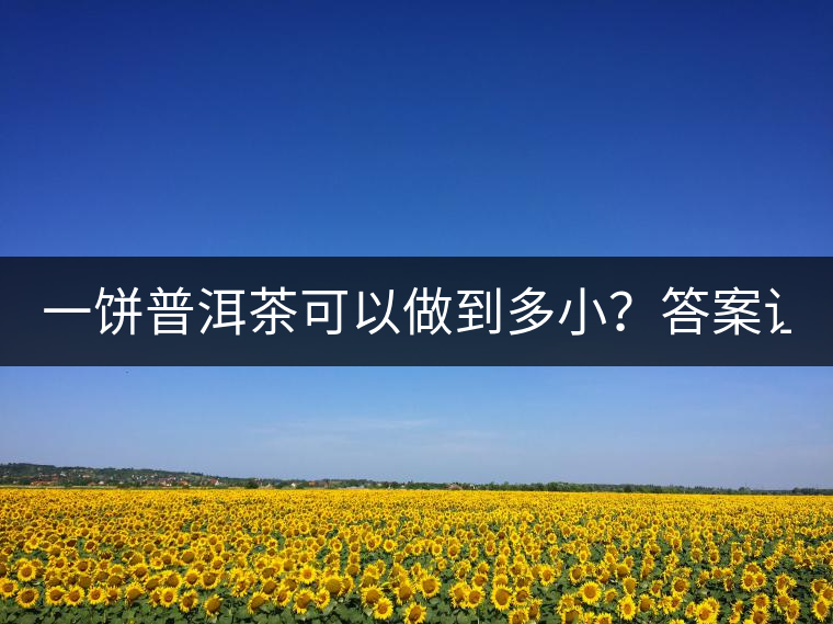 一餅普洱茶可以做到多??？答案讓人意想不到...