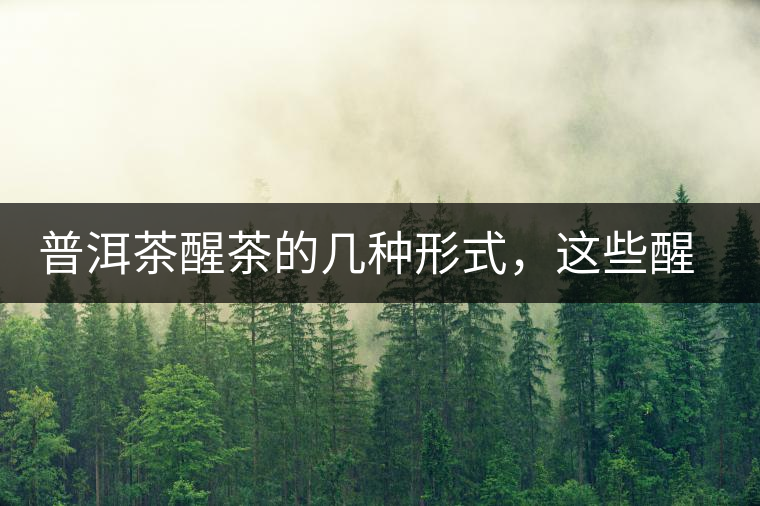 普洱茶醒茶的幾種形式，這些醒茶方法你都會了嗎？