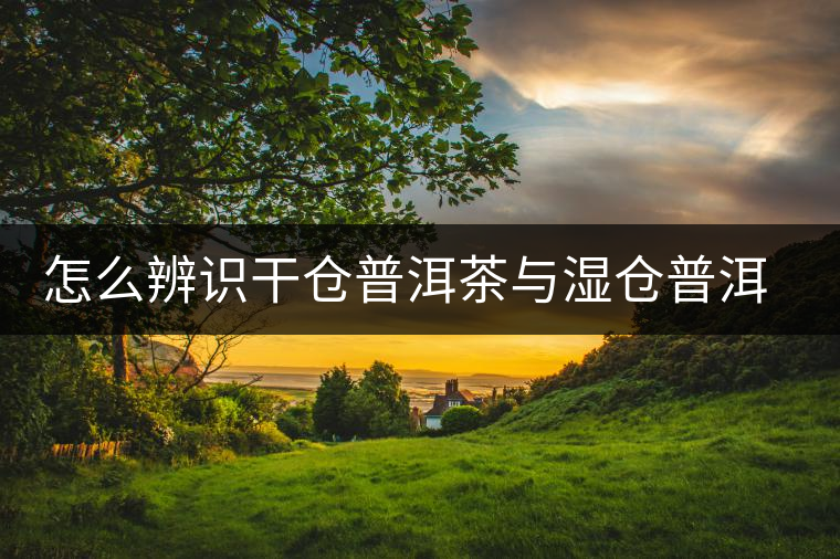 怎么辨識(shí)干倉(cāng)普洱茶與濕倉(cāng)普洱茶的區(qū)別？