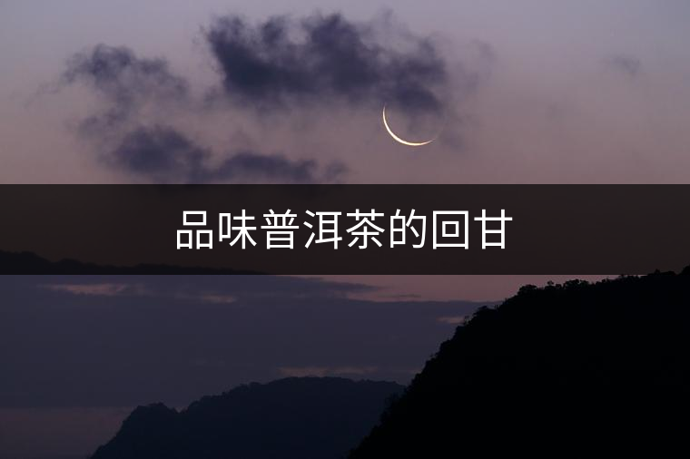 品味普洱茶的回甘 品味普洱茶的回甘