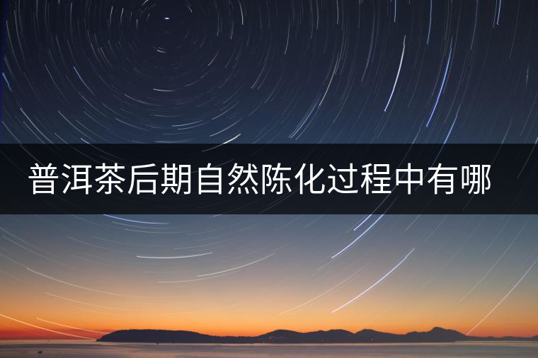 普洱茶后期自然陳化過程中有哪些變化？