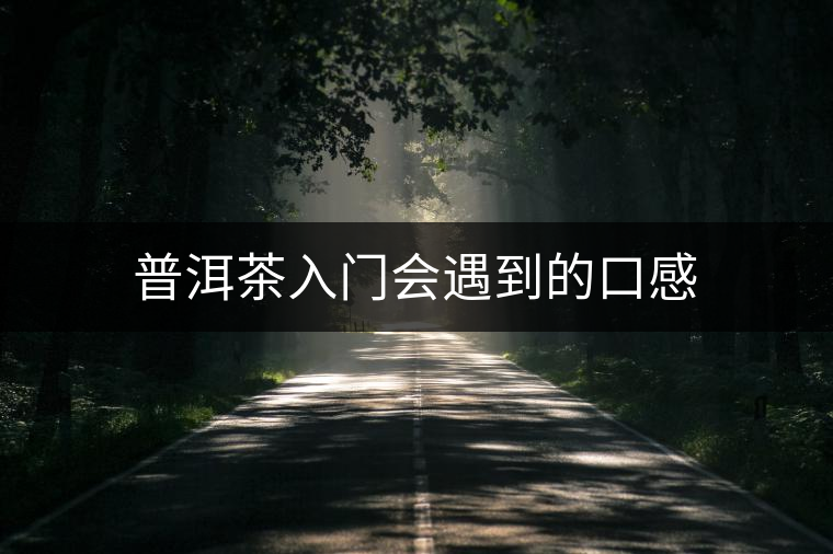 普洱茶入門會(huì)遇到的口感 普洱茶入門會(huì)遇到的口感